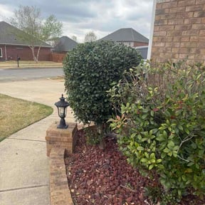 Flower Bed Weeding by Pleasant View Lawn Care reviewed on March 29, 2026