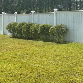 Bush Trimming by Thom&#039;s mowing and lawn care reviewed on October 20, 2025