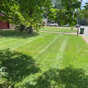 yard care by Lawn leader reviewed on November 18, 2025