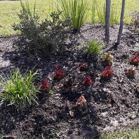 Flower Bed Weeding by DC Landscape reviewed on August 17, 2025