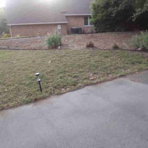 Flower Bed Weeding by Trim and drain solutions reviewed on May 10, 2026