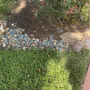 Flower Bed Weeding by Javier lasncapi reviewed on July 3, 2026