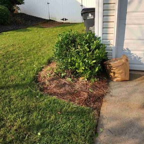 Bush Trimming by GetMore services reviewed on August 21, 2025