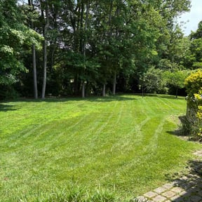 gardening service by Green City Landscaping Co LLC reviewed on August 16, 2025