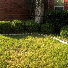 Bush Trimming by Double L Lawn Care Services reviewed on August 19, 2025