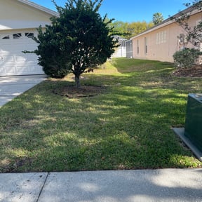 Leaf Removal by Mohawk Mowers reviewed on September 20, 2025