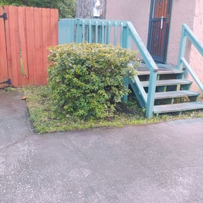 Bush Trimming by Z & M Landscape reviewed on August 18, 2025