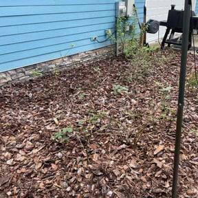 Flower Bed Weeding by Lawncare Recovery and landscape LLC reviewed on November 22, 2025