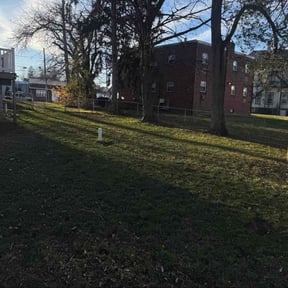 Leaf Removal by Rob's Lawn Care service llc reviewed on December 11, 2025