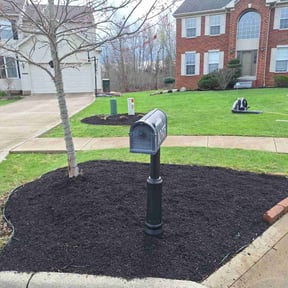Garden Maintenance by Pt contracting reviewed on August 15, 2025