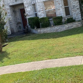 Bush Trimming by Good Guys Lawn and Fence reviewed on March 29, 2023