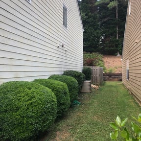 Bush Trimming by navarrete lawn care and wood fence reviewed on August 20, 2025