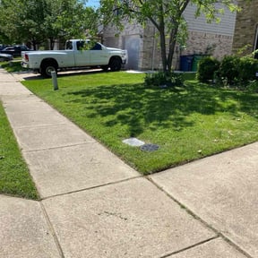 lawn care by A &amp; P Analytics reviewed on August 21, 2025