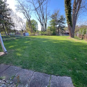 residential landscaping by Auggie’s Lawn Care reviewed on August 16, 2025
