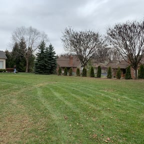 Leaf Removal by jng landscaping llc reviewed on September 26, 2025