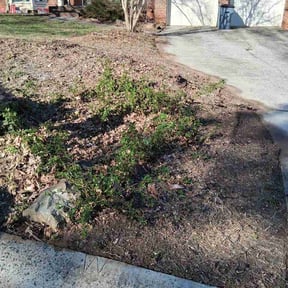 Flower Bed Weeding by Outdoor Pros And More reviewed on March 21, 2026