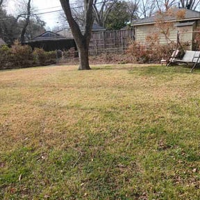 Leaf Removal by D&amp;M Lawn Care reviewed on August 16, 2026