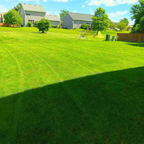 yard service by The lawn Service,LLC reviewed on August 21, 2025