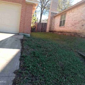 Leaf Removal by Larry&#039;s Leaf N Lawn reviewed on November 19, 2025