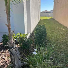 Bush Trimming by Yard Barber reviewed on April 2, 2026