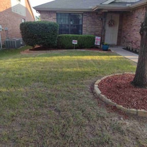 Bush Trimming by Midplains Properties LLC reviewed on August 19, 2025