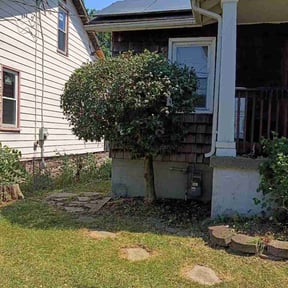 Bush Trimming by Grunt Work Industrial Services LLC reviewed on May 17, 2026