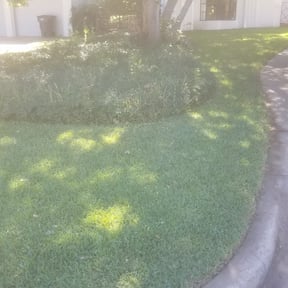 Leaf Removal by S.O.S Lawn Care and Maintenance reviewed on September 20, 2025