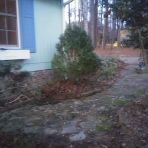 Bush Trimming by C&h lawn care reviewed on August 15, 2025