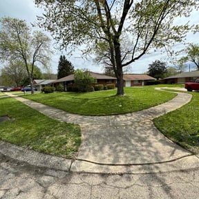 lawn care by We do it better reviewed on April 29, 2025