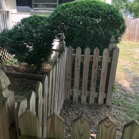 Bush Trimming by C.K. Lawn &amp; Maintenance reviewed on August 15, 2025