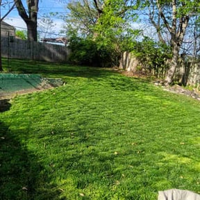 turf maintenance by B& ccutting reviewed on October 7, 2024