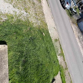 turf care by 4 You Landscaping LLC reviewed on March 29, 2025