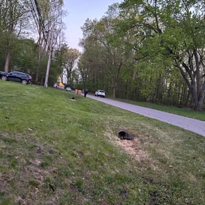 Leaf Removal by Los Hombre Landscaping reviewed on September 29, 2025