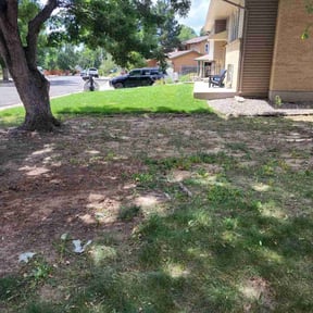 Leaf Removal by L&amp;m llc reviewed on September 14, 2025