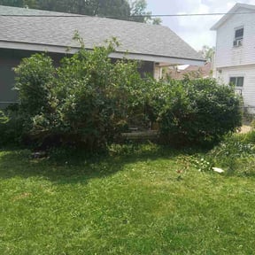 Bush Trimming by Chaneys's FourSeasons Lawn Care reviewed on August 19, 2025