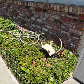 Bush Trimming by Mcghees lawn service reviewed on July 15, 2026