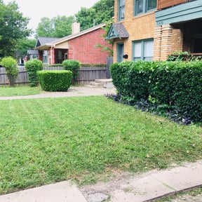 Bush Trimming by Rick and sons reviewed on August 18, 2025
