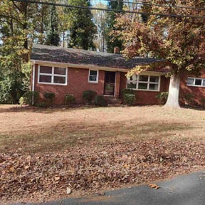 Bush Trimming by Sunnyside of Hillsborough reviewed on August 19, 2025