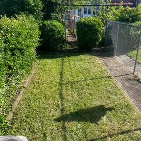 Bush Trimming by Seans Lawncare reviewed on May 5, 2026