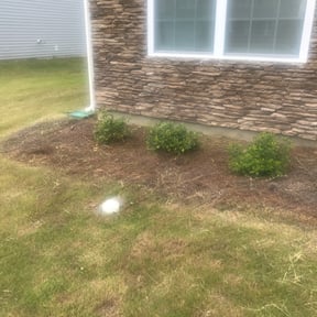 Flower Bed Weeding by M&M Lansdcaping reviewed on August 17, 2025