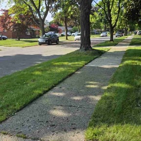 yard care by Ascension Care, LLC. reviewed on August 20, 2025