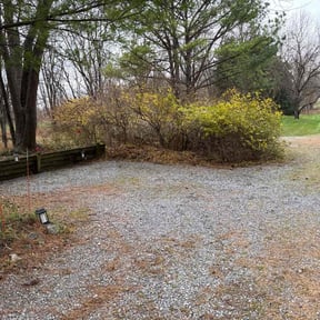 Bush Trimming by Done Right Lawn Service reviewed on November 22, 2025