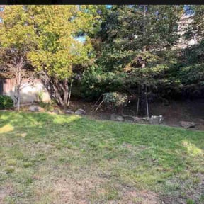 Leaf Removal by Blessit lawn service reviewed on September 15, 2025