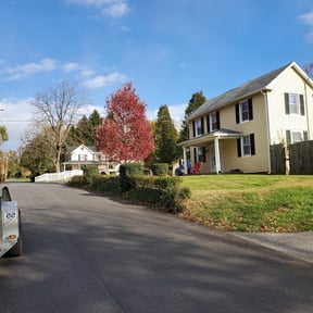 Bush Trimming by Mow-2-Snow Yard Service reviewed on May 15, 2024