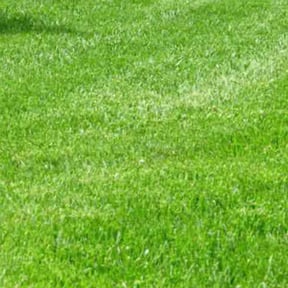 residential landscaping by Tony's lawn services/Plowing reviewed on August 20, 2025