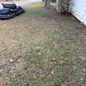 Leaf Removal by Salamanca's Landscaping LLC  reviewed on October 20, 2025