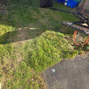 Leaf Removal by Blade and bloom lawncare llc reviewed on November 9, 2025