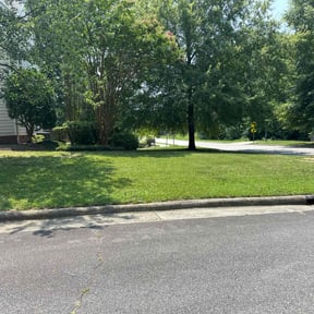 landscaping services by Certified Lawns Pros reviewed on August 20, 2025