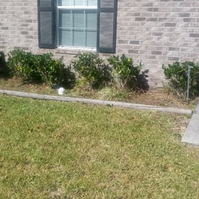 Bush Trimming by Lawn for life reviewed on August 16, 2025