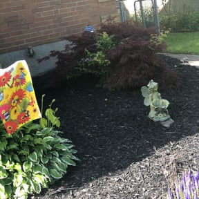 Flower Bed Weeding by Lawn Rhino reviewed on August 17, 2025